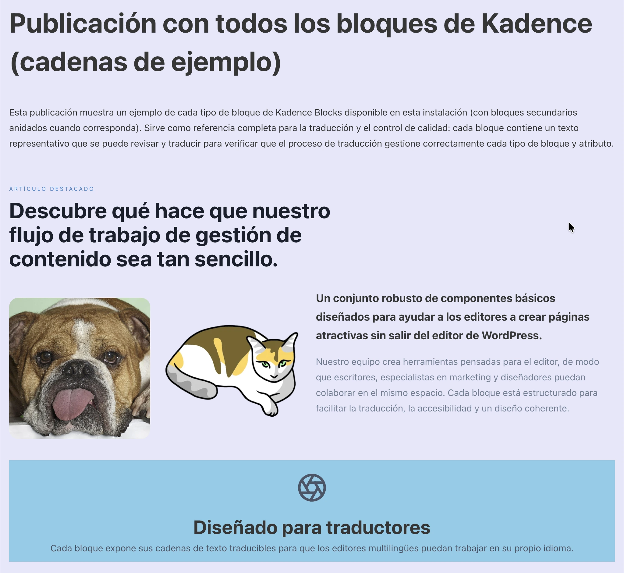 Translated Kadence blocks